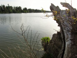 Podleský rybník